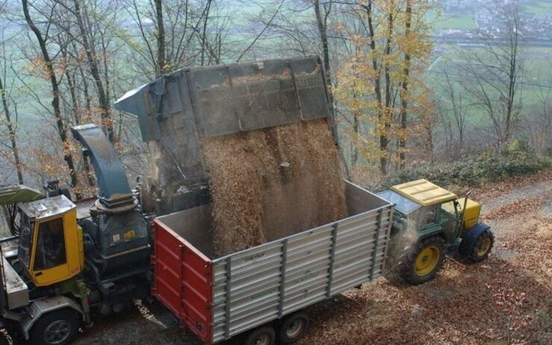 Forst Schnitzel